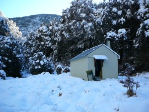 Branch Creek Hut