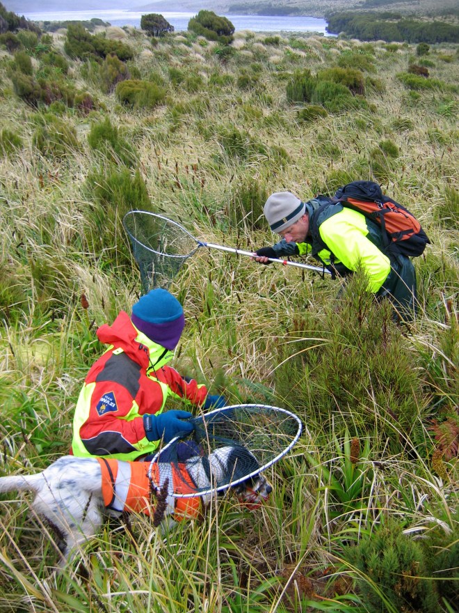 Campbell snipe media 025