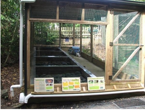 Hochstetter_enclosure_before_300W