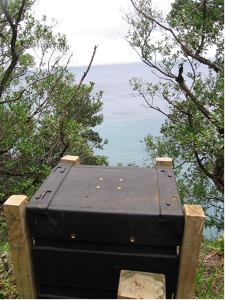 kermadecs_coral_bay_speaker_300H