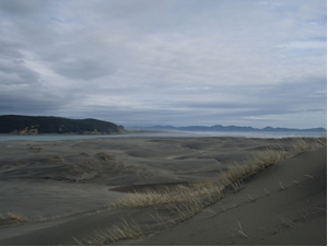 NZDotterel_AoteaHabitat_300W