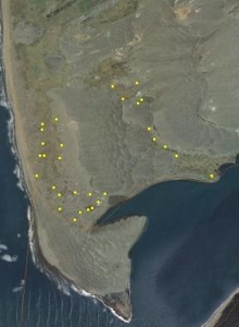 NZDotterel_AoteaTraplocation_300H