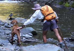 Ruahines_dogandduck_NobbyRobson_300W