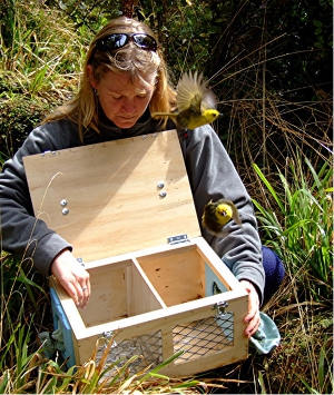 Secretary_HannahRelease_300W