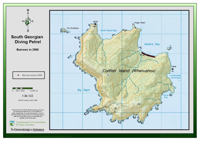 SGDP Active burrows 2008