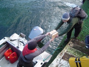 transfer box handed into boat