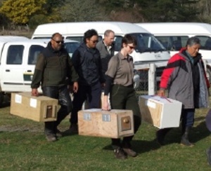 Whirinaki_Arrive_300W