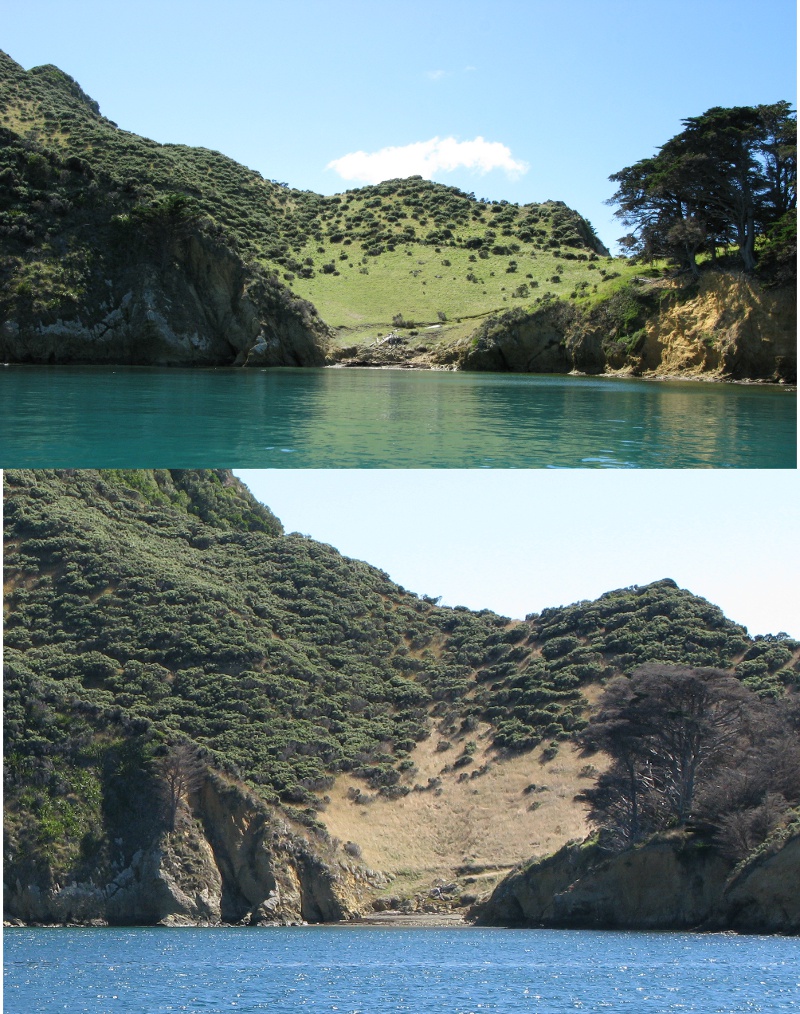 WoolshedBaycomposite