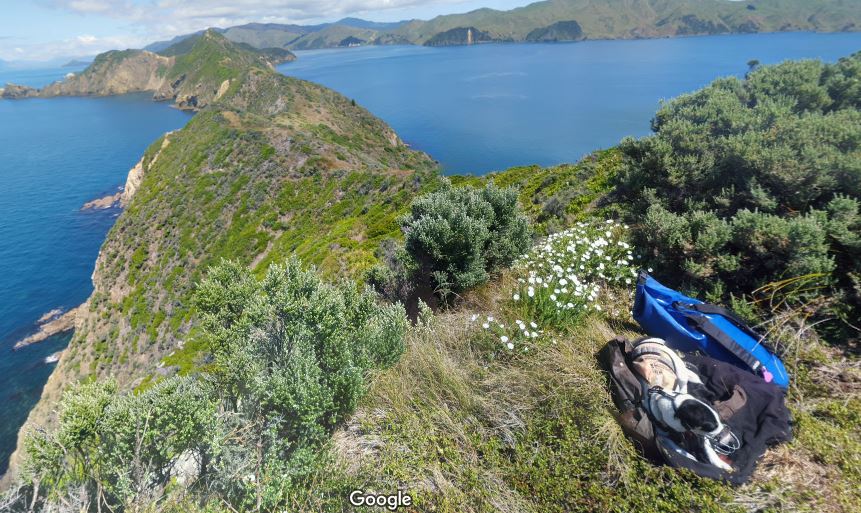 MillysProminencePhoto